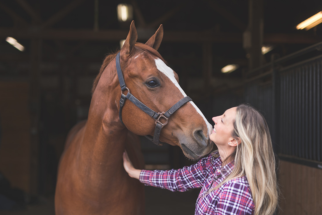 En person vidrör en hästs nacke i ett stall.